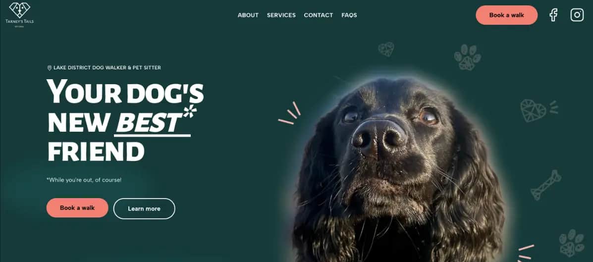 Screenshot of Tarney's tails homepage