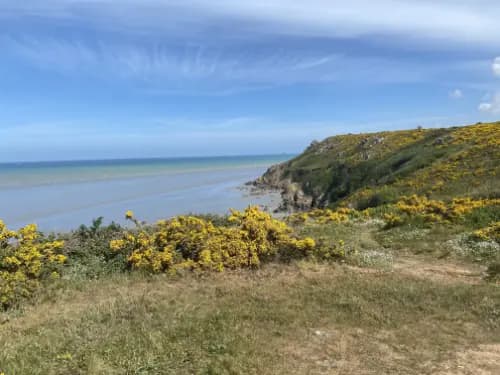 View of the cliff and sea on the GR34 in Bretagne
